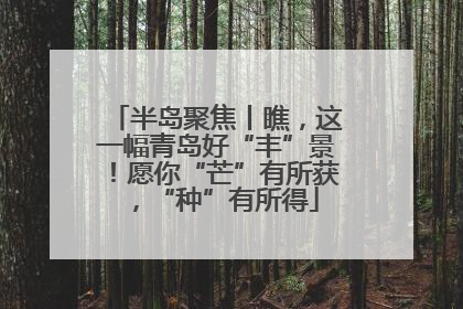 半岛聚焦丨瞧，这一幅青岛好“丰”景！愿你“芒”有所获，“种”有所得