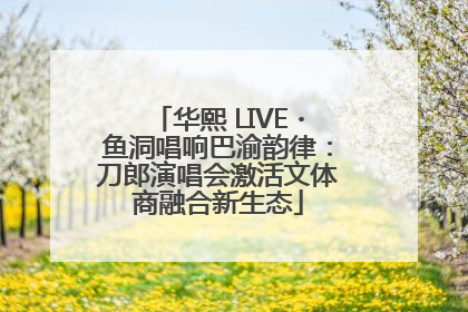 华熙 LIVE・鱼洞唱响巴渝韵律：刀郎演唱会激活文体商融合新生态