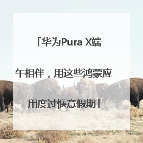 华为Pura X端午相伴，用这些鸿蒙应用度过惬意假期