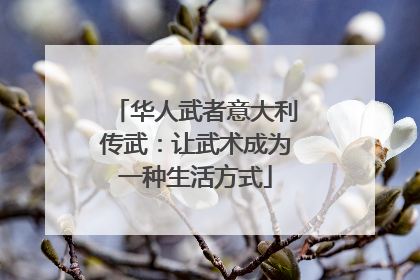 华人武者意大利传武：让武术成为一种生活方式