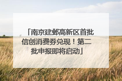 南京建邺高新区首批信创消费券兑现！第二批申报即将启动