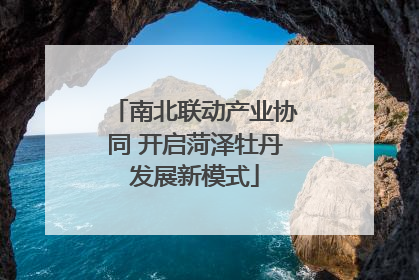 南北联动产业协同 开启菏泽牡丹发展新模式