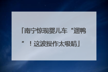 南宁惊现婴儿车“遛鸭”！这波操作太吸睛