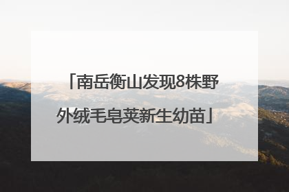 南岳衡山发现8株野外绒毛皂荚新生幼苗