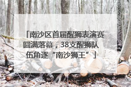 南沙区首届醒狮表演赛圆满落幕，38支醒狮队伍角逐“南沙狮王”