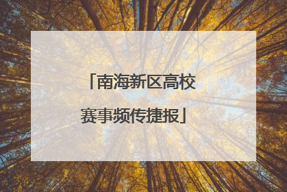 南海新区高校赛事频传捷报