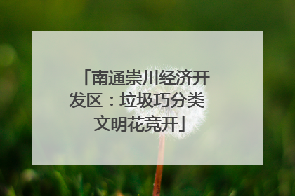 南通崇川经济开发区：垃圾巧分类 文明花竞开