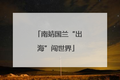 南靖国兰“出海”闯世界