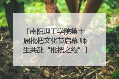 南阳理工学院第十一届枇杷文化节启幕 师生共赴“枇杷之约”