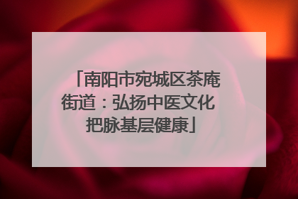 南阳市宛城区茶庵街道：弘扬中医文化 把脉基层健康
