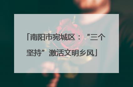 南阳市宛城区：“三个坚持”激活文明乡风