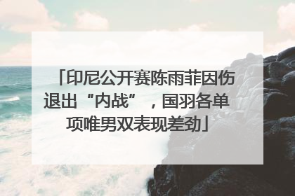 印尼公开赛陈雨菲因伤退出“内战”，国羽各单项唯男双表现差劲