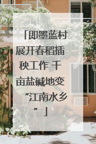 即墨蓝村展开春稻插秧工作 千亩盐碱地变“江南水乡”