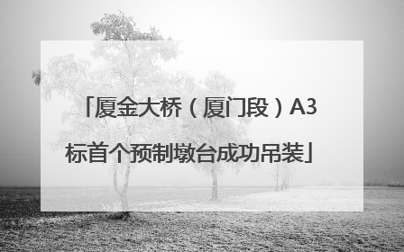 厦金大桥（厦门段）A3标首个预制墩台成功吊装