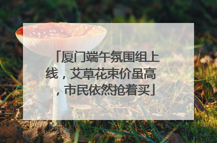 厦门端午氛围组上线，艾草花束价虽高，市民依然抢着买