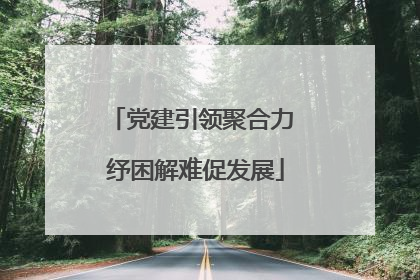 党建引领聚合力 纾困解难促发展
