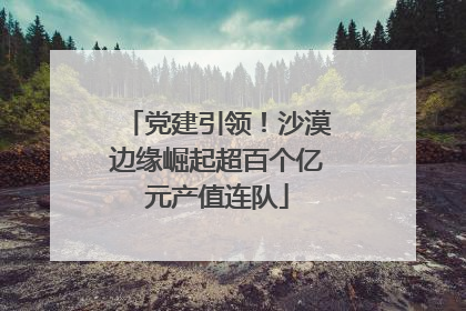党建引领！沙漠边缘崛起超百个亿元产值连队