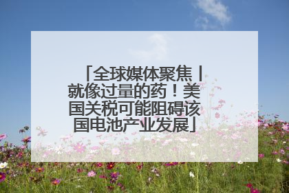全球媒体聚焦丨就像过量的药！美国关税可能阻碍该国电池产业发展