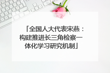 全国人大代表宋燕：构建推进长三角检察一体化学习研究机制