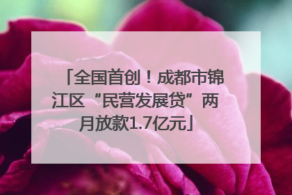 全国首创！成都市锦江区“民营发展贷”两月放款1.7亿元