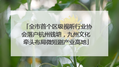 全市首个区级视听行业协会落户杭州钱塘，九州文化牵头布局微短剧产业高地