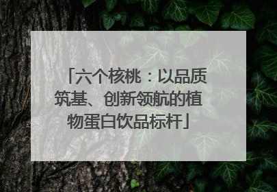 六个核桃：以品质筑基、创新领航的植物蛋白饮品标杆