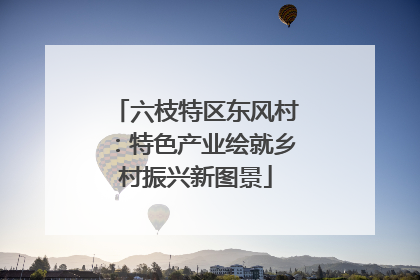 六枝特区东风村：特色产业绘就乡村振兴新图景