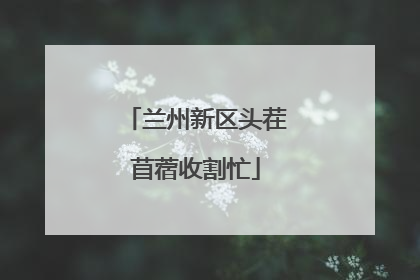 兰州新区头茬苜蓿收割忙