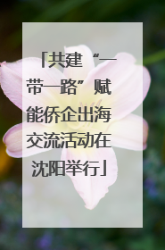 共建“一带一路”赋能侨企出海交流活动在沈阳举行