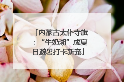 内蒙古太仆寺旗：“牛奶湖”成夏日避暑打卡新宠