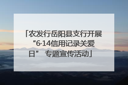 农发行岳阳县支行开展“6·14信用记录关爱日” 专题宣传活动