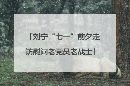 刘宁“七一”前夕走访慰问老党员老战士