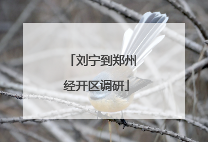 刘宁到郑州经开区调研