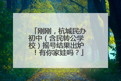 刚刚，杭城民办初中（含民转公学校）摇号结果出炉！有你家娃吗？