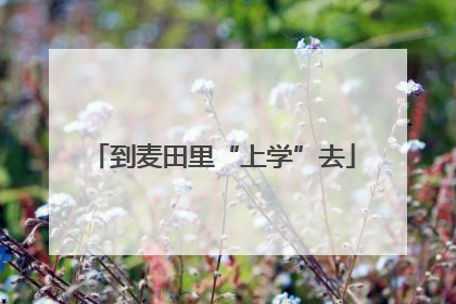 到麦田里“上学”去