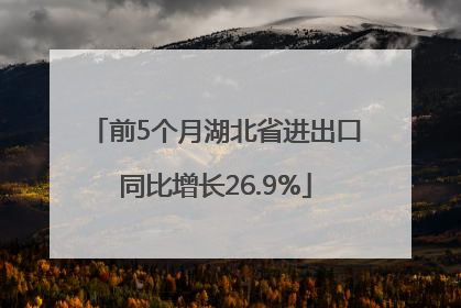 前5个月湖北省进出口同比增长26.9%