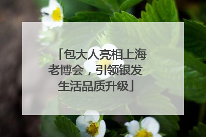 包大人亮相上海老博会，引领银发生活品质升级