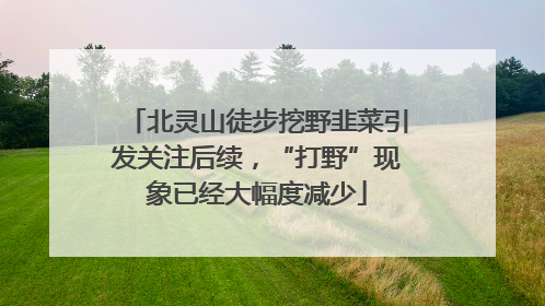 北灵山徒步挖野韭菜引发关注后续，“打野”现象已经大幅度减少