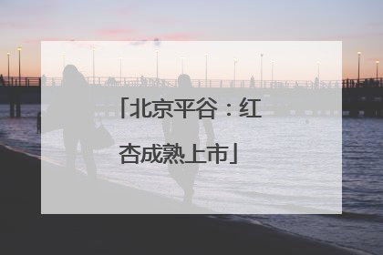 北京平谷：红杏成熟上市