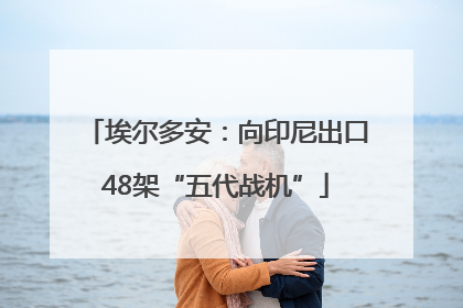 埃尔多安：向印尼出口48架“五代战机”