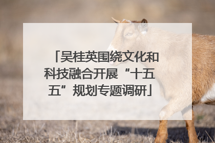 吴桂英围绕文化和科技融合开展“十五五”规划专题调研