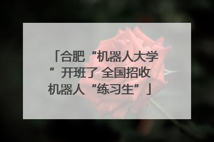 合肥“机器人大学”开班了 全国招收机器人“练习生”