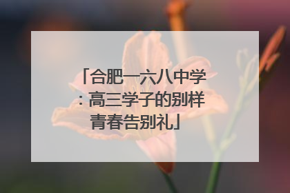 合肥一六八中学：高三学子的别样青春告别礼