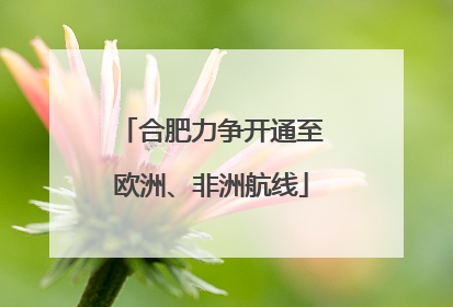 合肥力争开通至欧洲、非洲航线