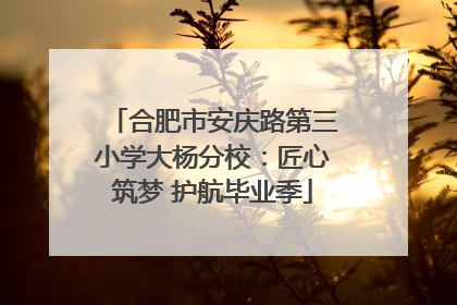 合肥市安庆路第三小学大杨分校：匠心筑梦 护航毕业季