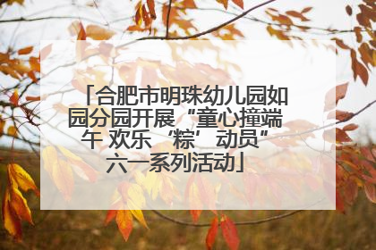 合肥市明珠幼儿园如园分园开展“童心撞端午 欢乐‘粽’动员”六一系列活动