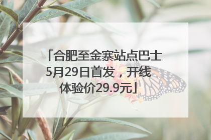 合肥至金寨站点巴士5月29日首发，开线体验价29.9元