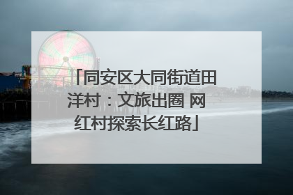 同安区大同街道田洋村：文旅出圈 网红村探索长红路