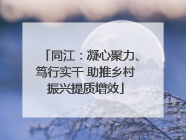 同江：凝心聚力、笃行实干 助推乡村振兴提质增效