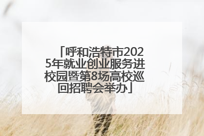 呼和浩特市2025年就业创业服务进校园暨第8场高校巡回招聘会举办